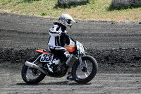 Gene Romeros Flat Track series
